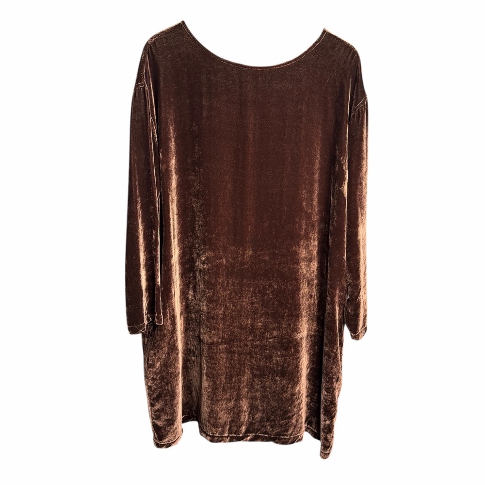 CP Shades Brown Velvet Long Sleeve Mini Dress